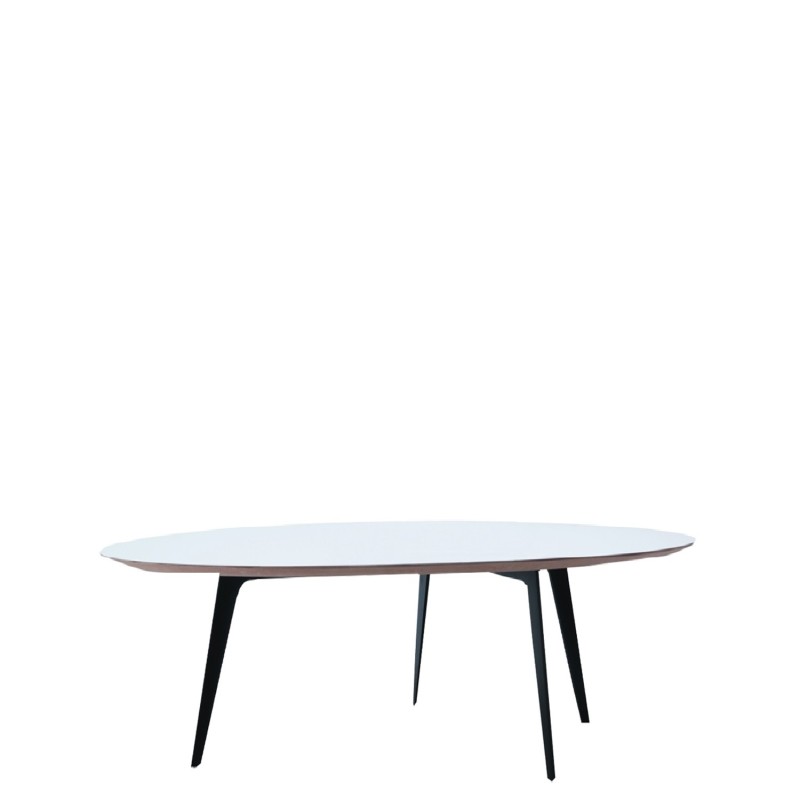 LEMA - Flowers coffee table d109