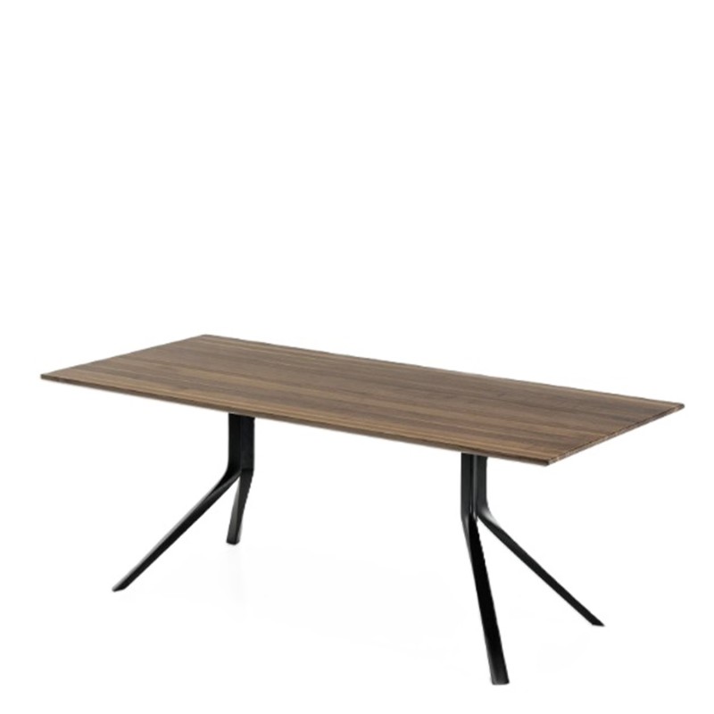 Kristalia - Oops wooden table and painted base L250